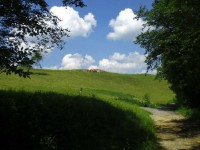 ohne Worte Bild 13: Das blaue Haus