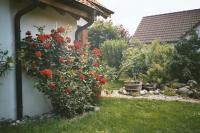Garten Bild 10: Ferienwohnung Breyer auf der Halbinsel Höri am Bodensee