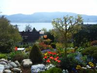 Garten mit Seesicht Bild 4: Traumhafte Bodensee Ferienwohnung - Wilhelmina Hangarter