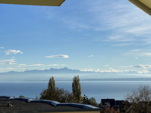 Bild Ferienwohnung Fam. Sauer - mit herrlichem Panorama-See- und Alpenblick -